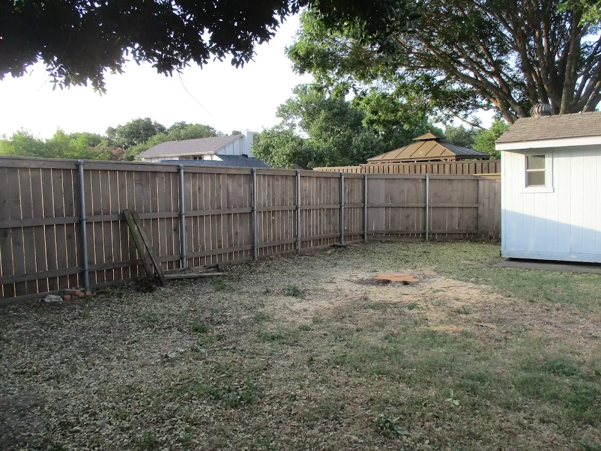 Cleared yard after professional tree removal in Tiltonsville