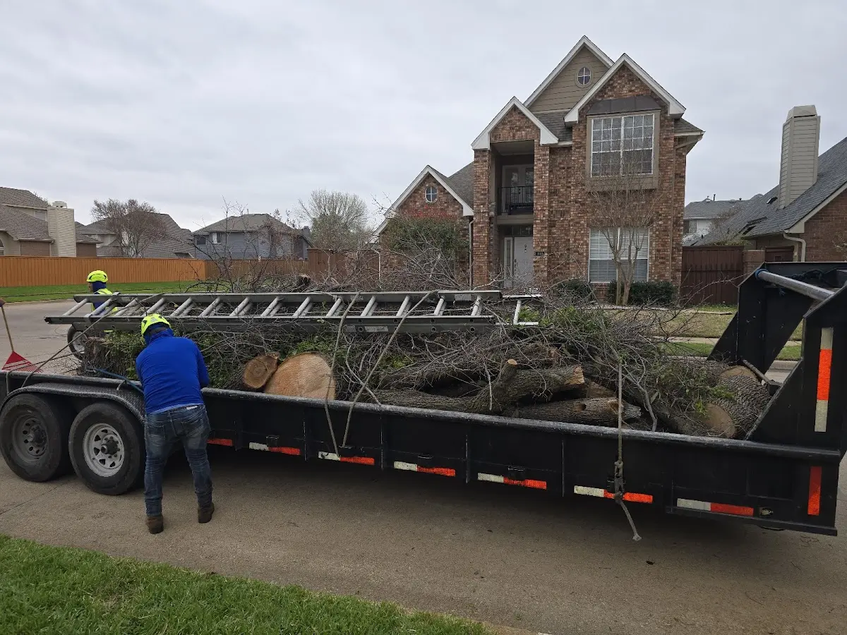 Expert Crown Reduction with proper safety equipment in Tiltonsville